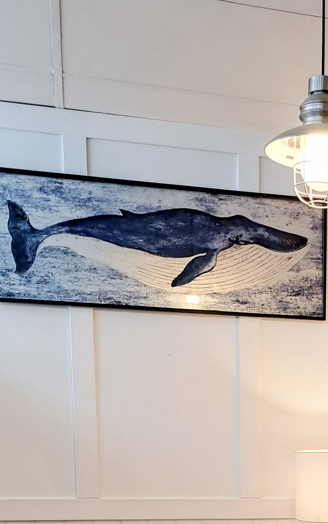 Fin Whale Picture