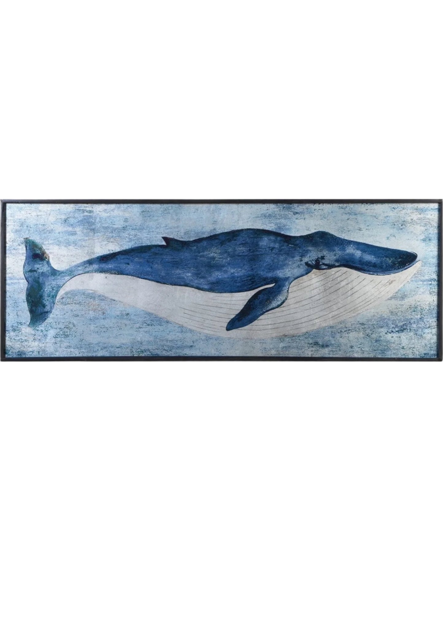 Large Fin Whale Picture