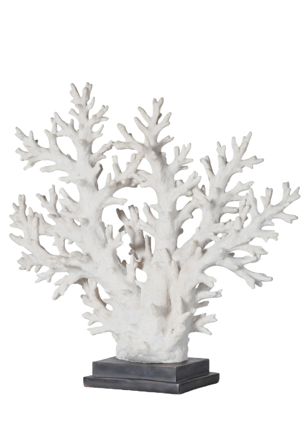 Coral Tree On Stand