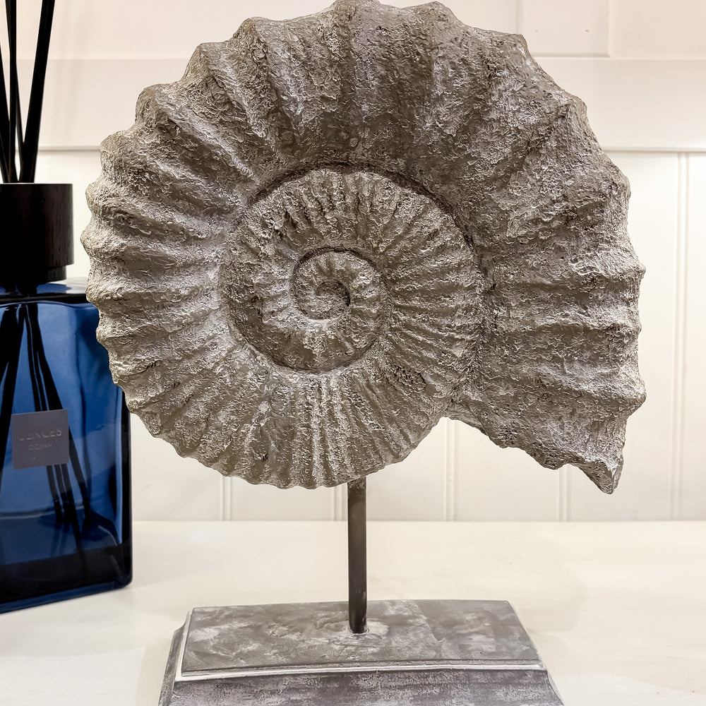 Faux Ammonite Fossil on Stand