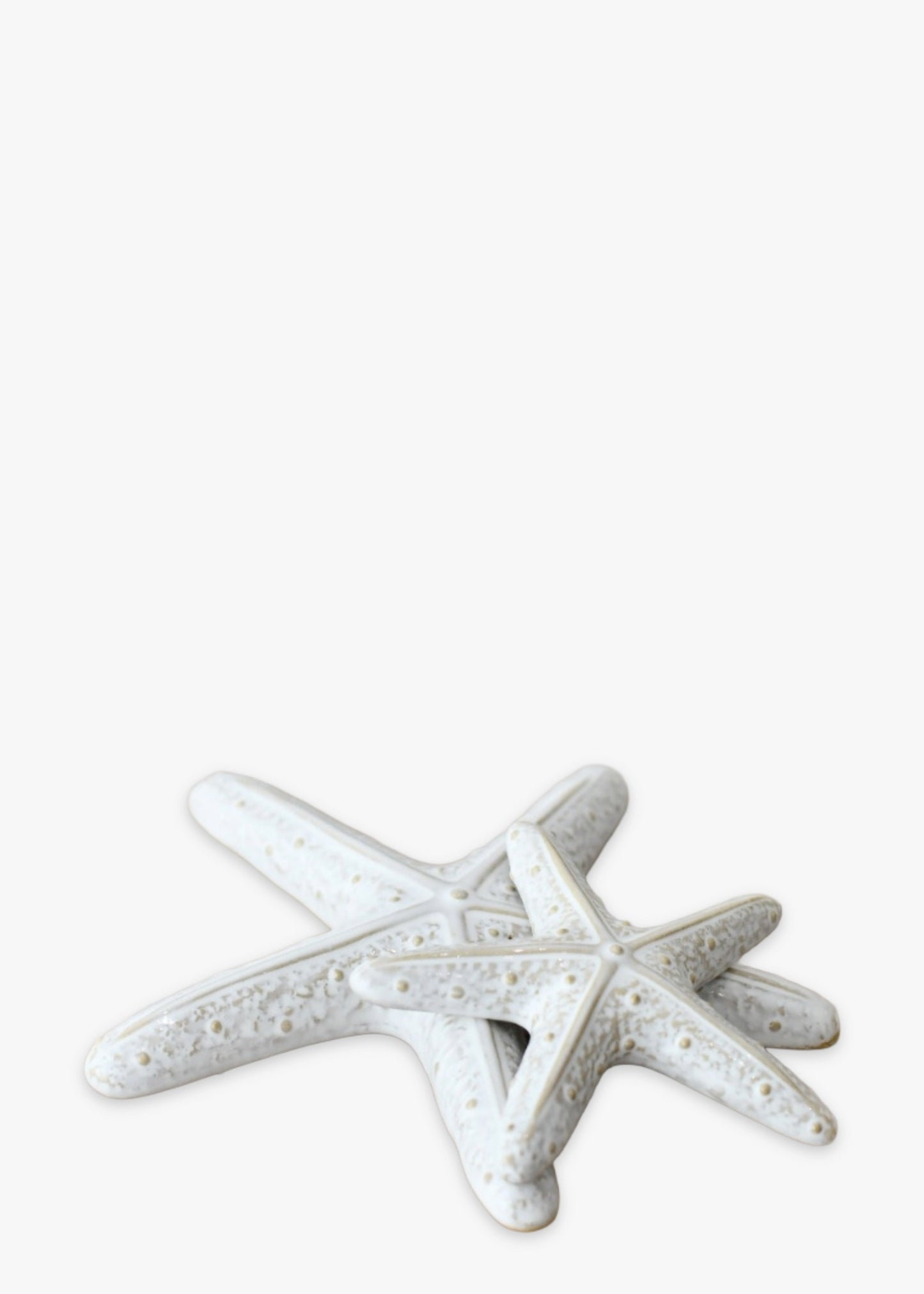 Decorative ceramic starfish