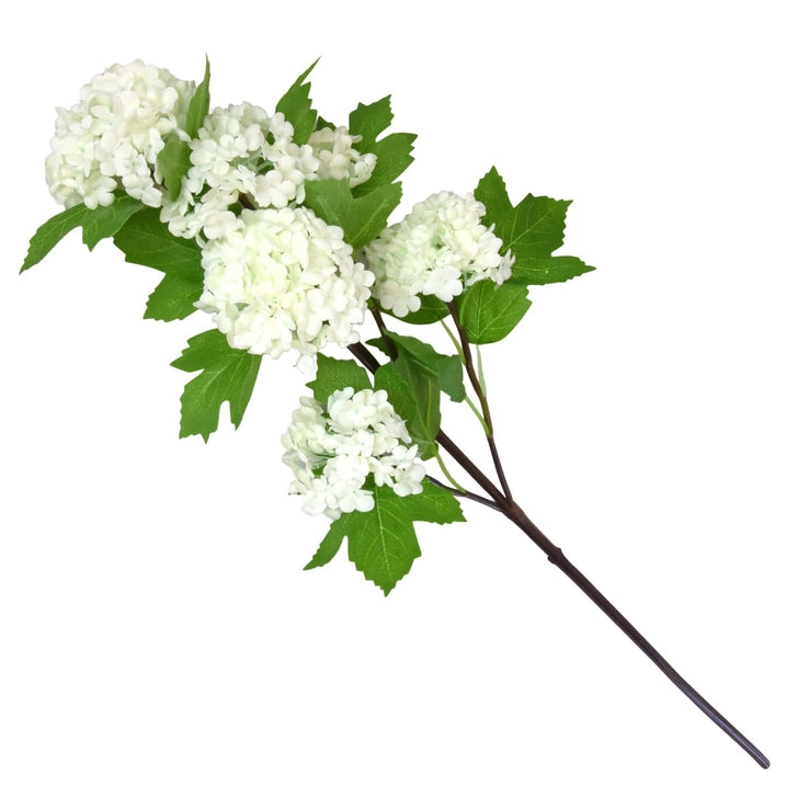 
                      
                        Faux White Viburnum
                      
                    