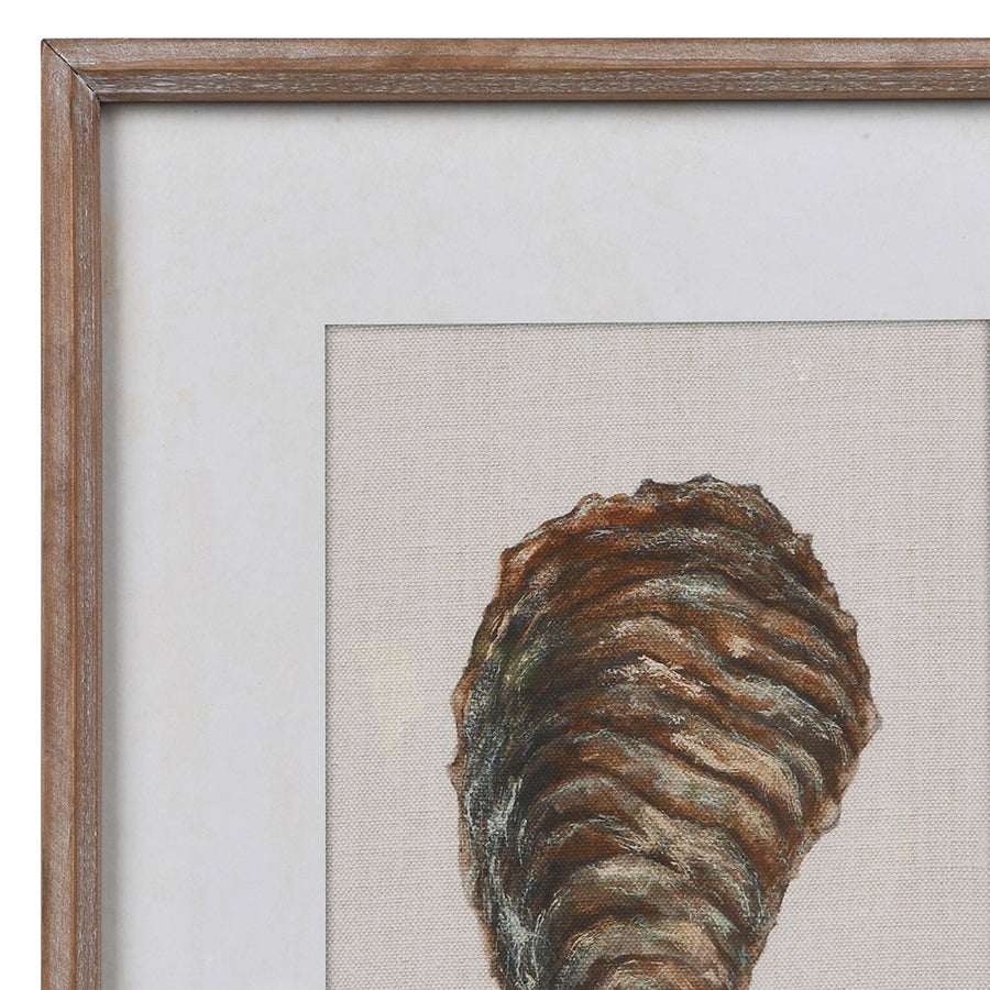 Framed artwork of a detailed oyster shell