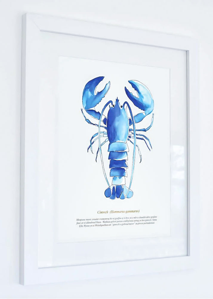 
                      
                         Lobster Framed Watercolour Print
                      
                    