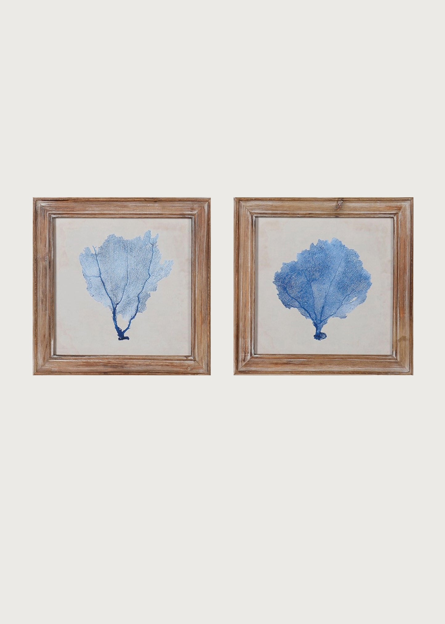 Load image into Gallery viewer, Set of two framed coral pictures
