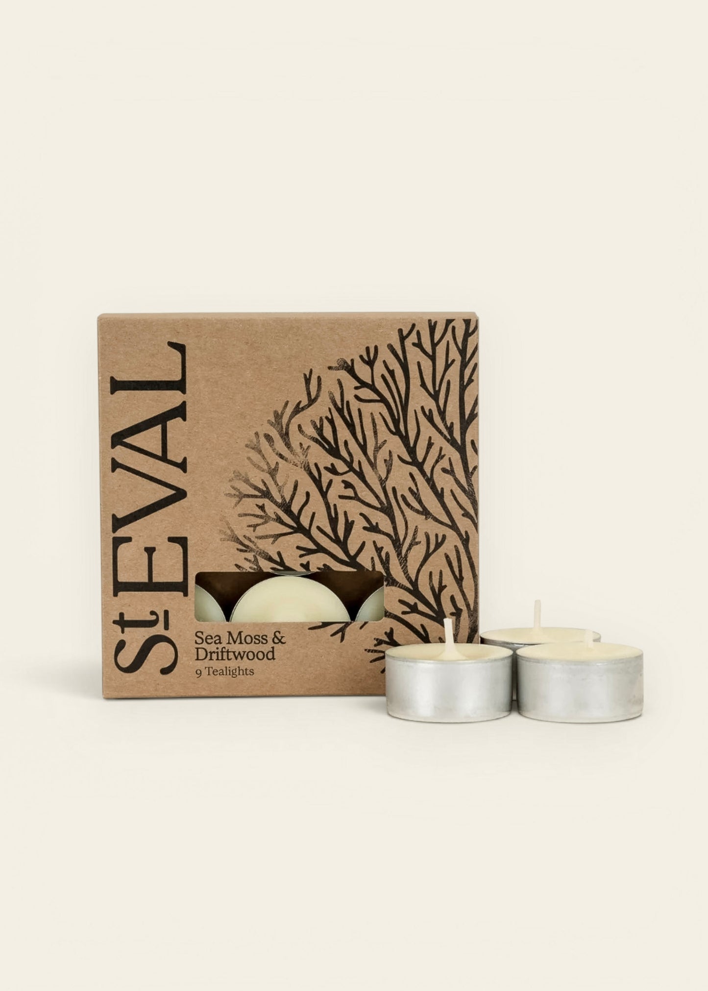 St Eval Sea Moss & Driftwood Scented Tealights