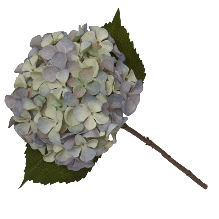 
                      
                        Two_Tone_Hydrangea_Stem
                      
                    