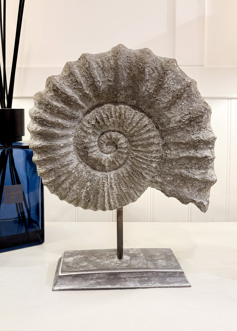 Faux ammonite fossil on black metal stand, 36cm tall, made of polyresin. Coastal nautical home decor accessory