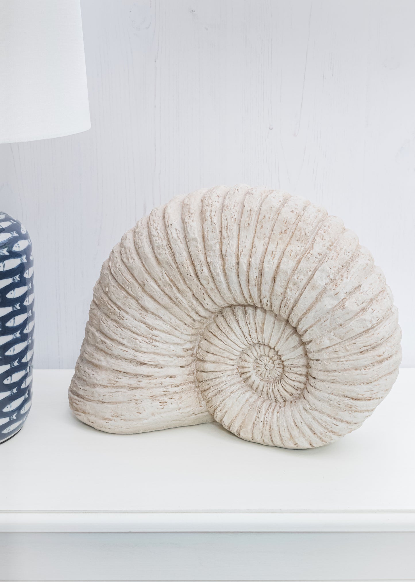 Ammonite Shell Sculpture