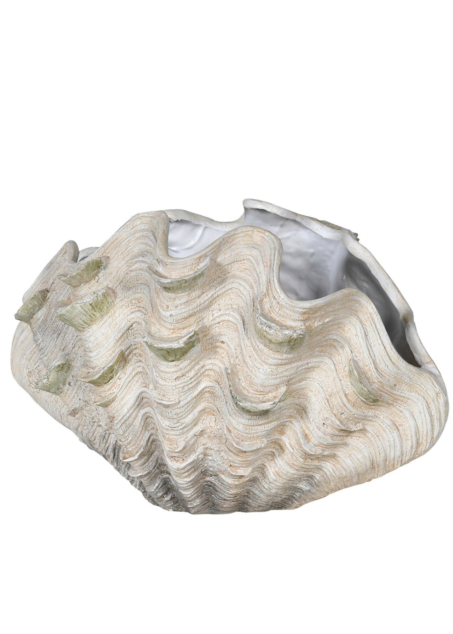 Decorative Resin Clam Shell