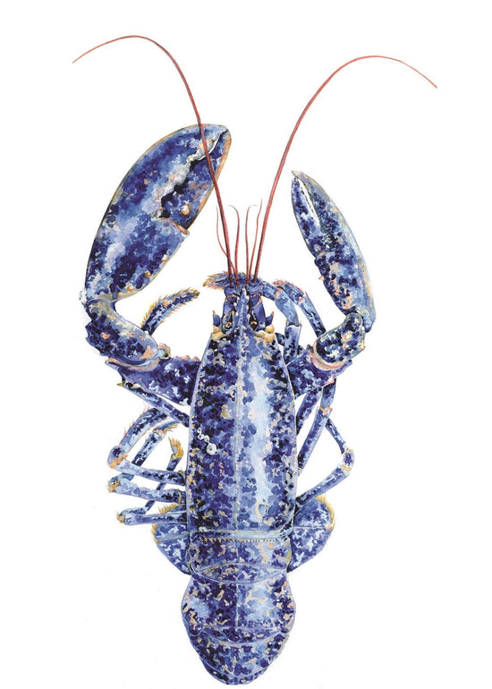 Load image into Gallery viewer, Lobster Print
