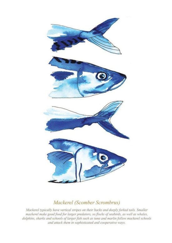 Load image into Gallery viewer, Mackerel Print
