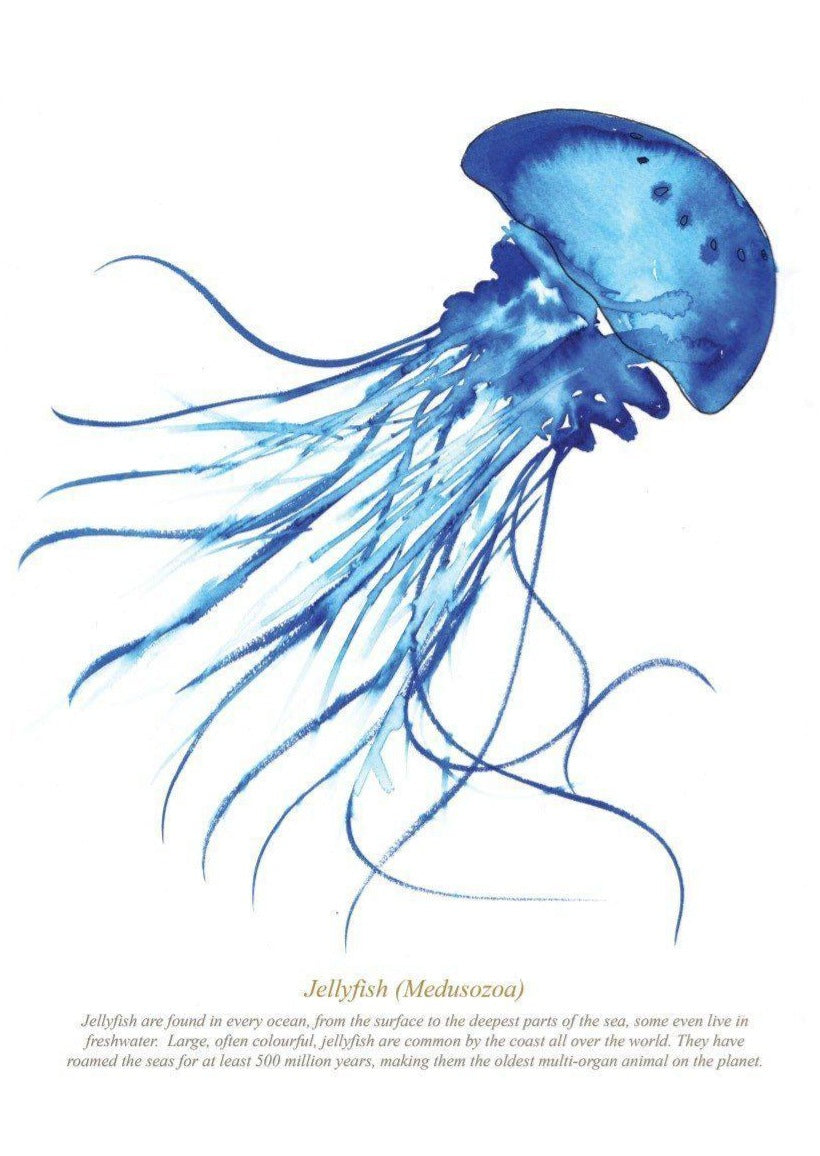 Load image into Gallery viewer, JELLYFISH PRINT - FRAMED
