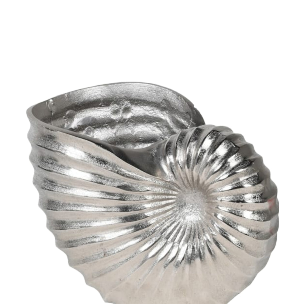 
                      
                        Shell Wine Cooler
                      
                    