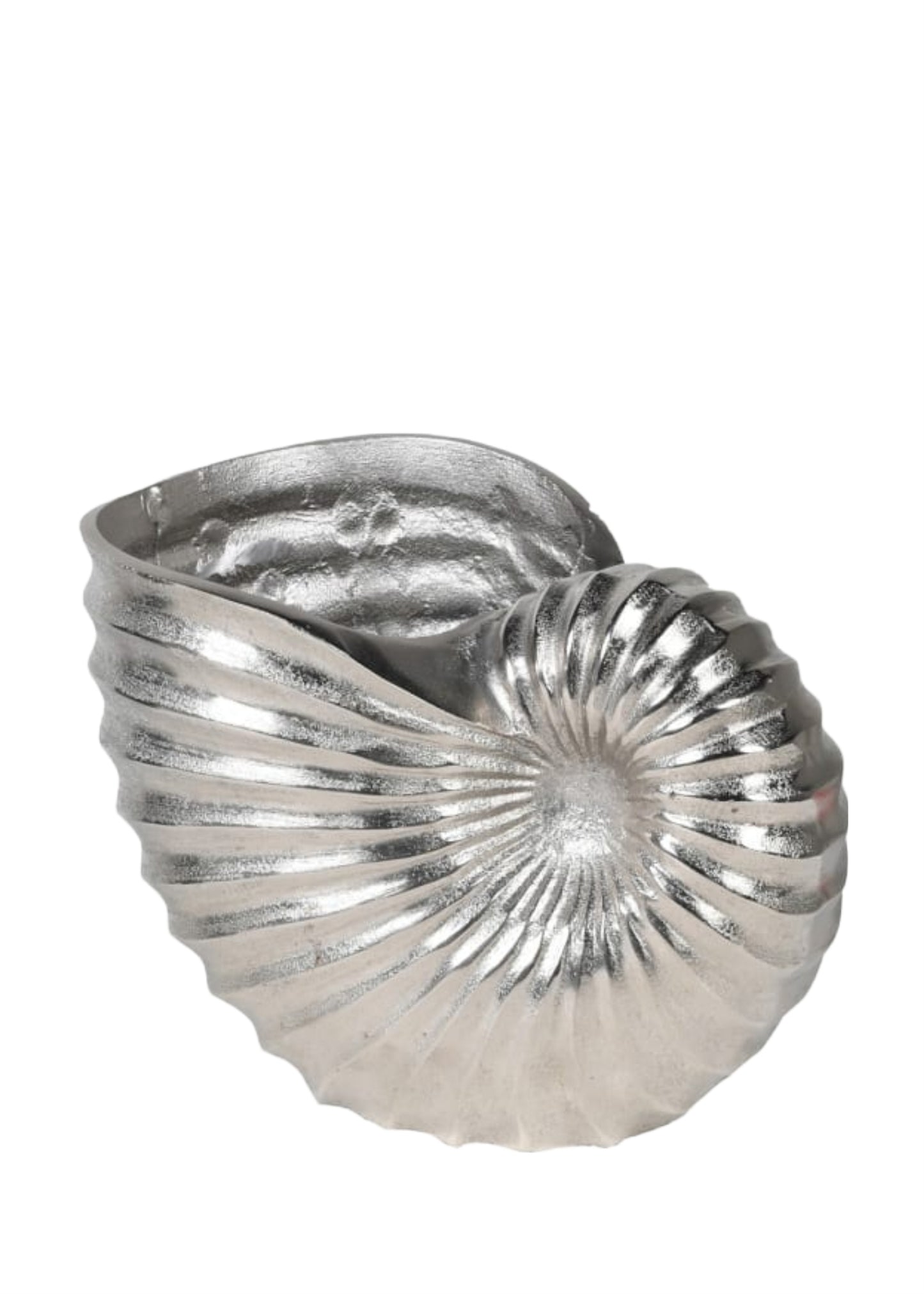 Shell Wine Cooler