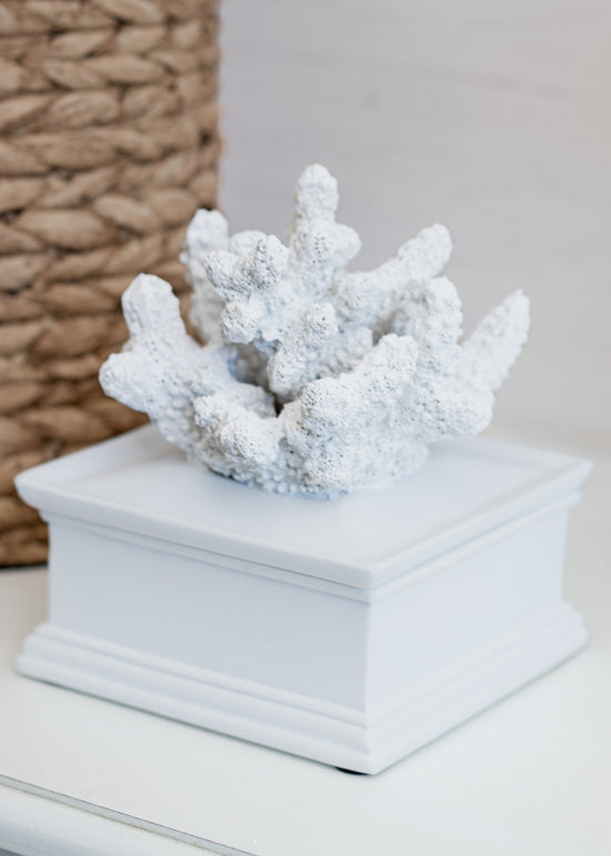 Load image into Gallery viewer, White Coral Trinket Box
