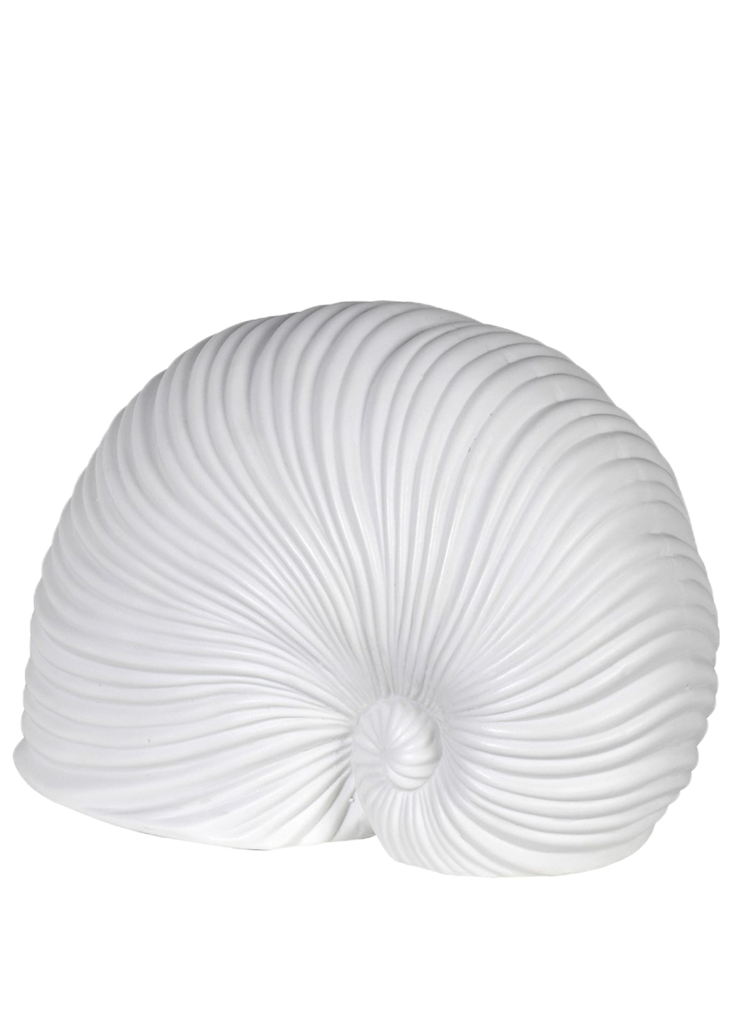 White Porcelain Sea Snail Ornament