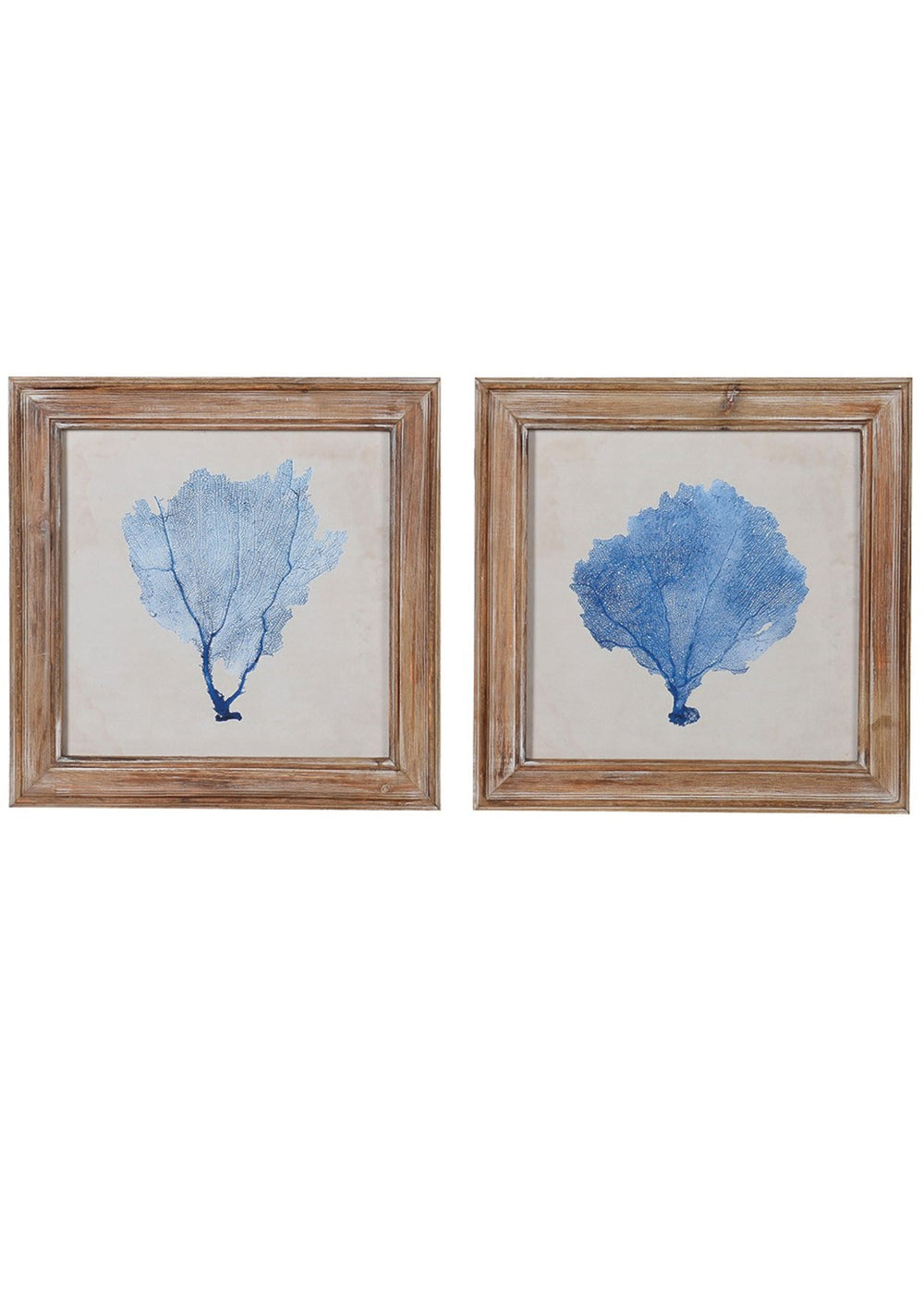 Set of 2 coral pictures