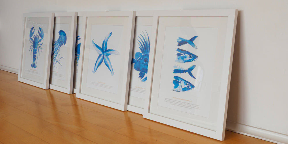
                      
                        Jellyfish Watercolour Framed Print
                      
                    